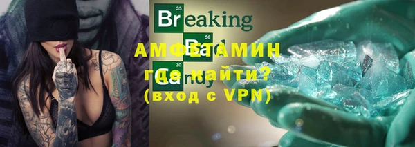 индика Алзамай
