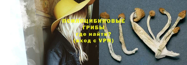 ПСИЛОЦИБИНОВЫЕ ГРИБЫ Абинск