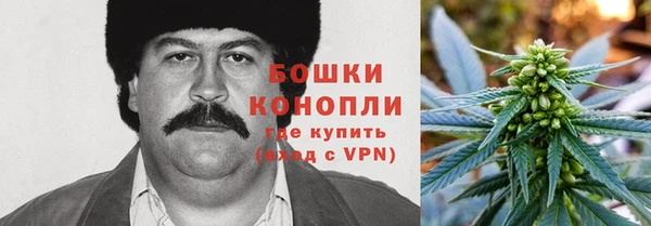 индика Алзамай