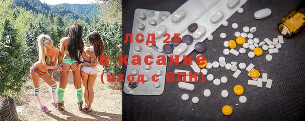 индика Алзамай
